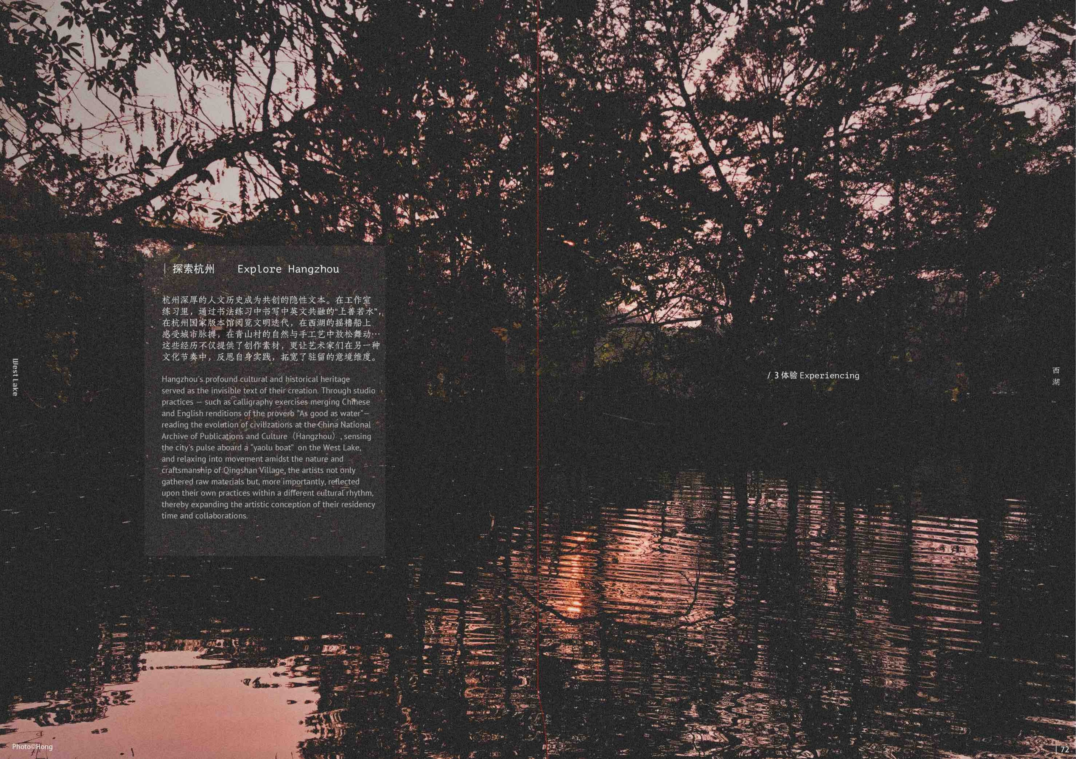 杭州的暗色风景