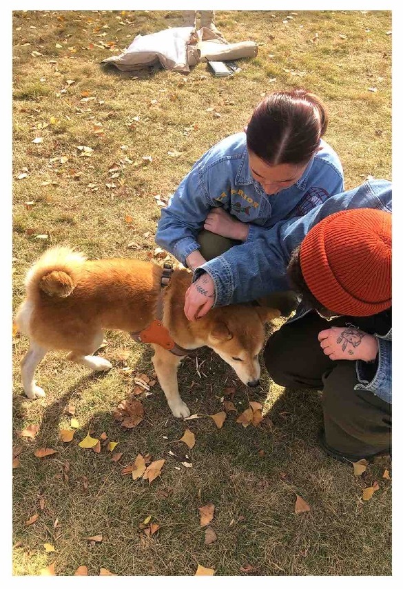 参观者检视自然材料